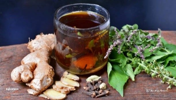 Tulsi Tea: तुलसी की चाय पीने के 5 बेमिसाल फायदे और इसे बनाने का सही तरीका