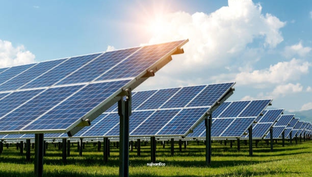 Eco-Friendly News aur Facts