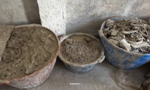 Ghar Par Organic Khaad Kaise Banayein?